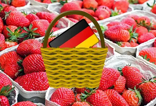 Де в Берліні збирати полуницю самому. Полуничні поля